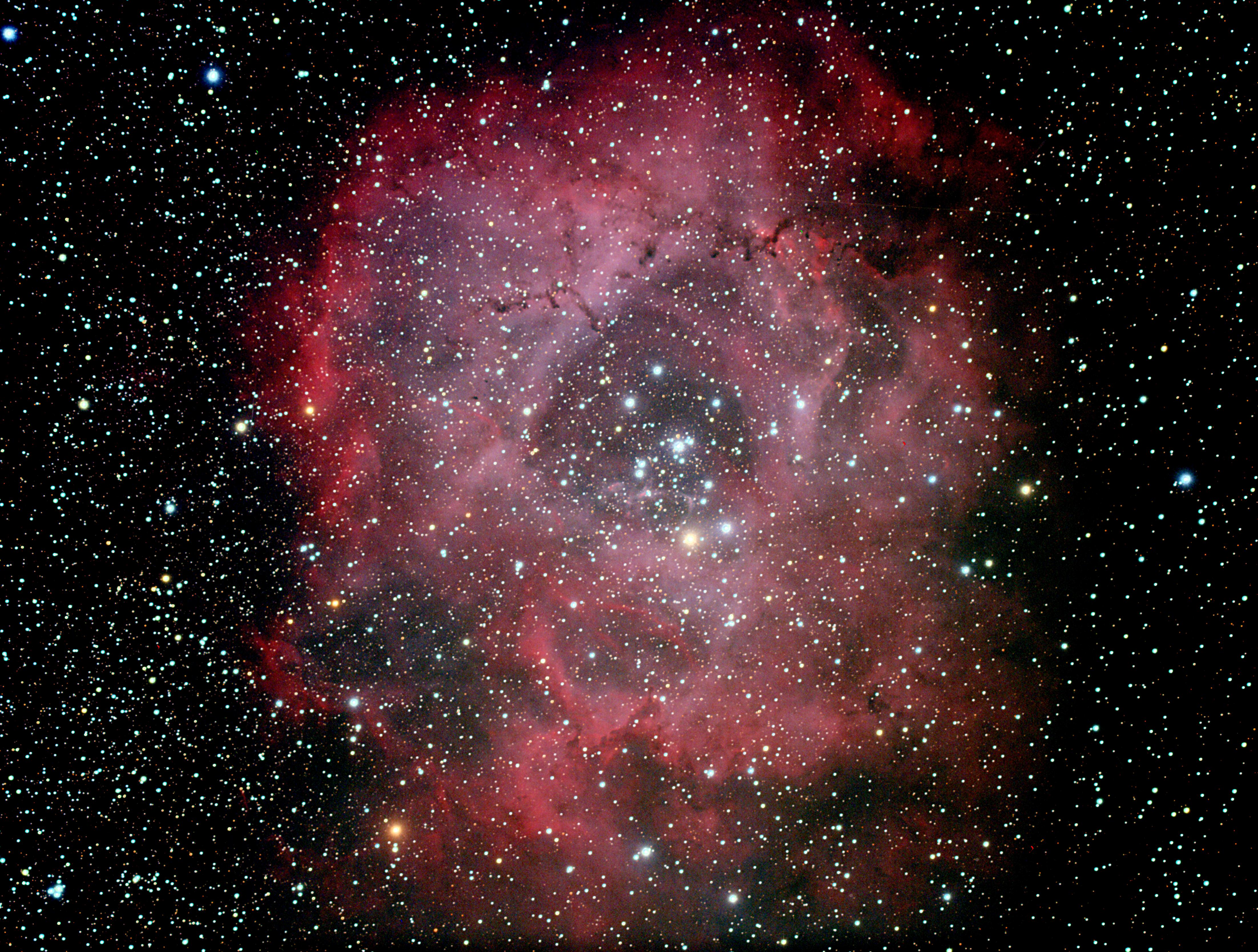 NGC2247_BORG125-FLAT4_10 01.jpg